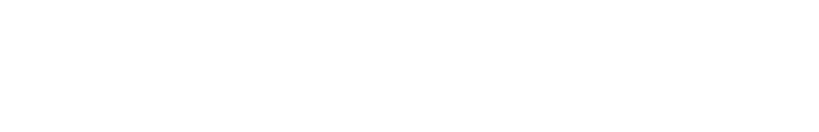 Silver Solution Partner Logo_White Digital